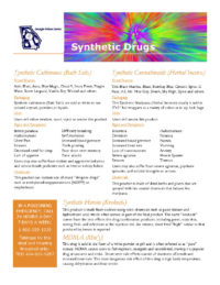Synthetic Drugs (Downloadable)