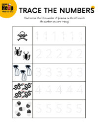 Trace the Numbers (Downloadable)